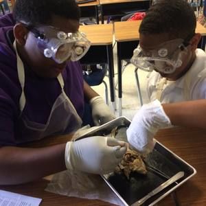 Meet your Posher, Colby